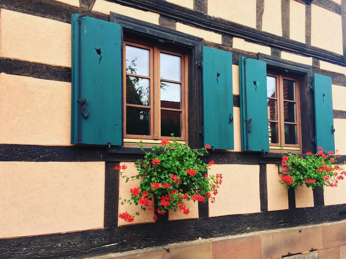 Chambres D'Hotes S'Burehiesel Schillersdorf Exterior photo